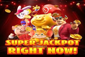 t bajee vip